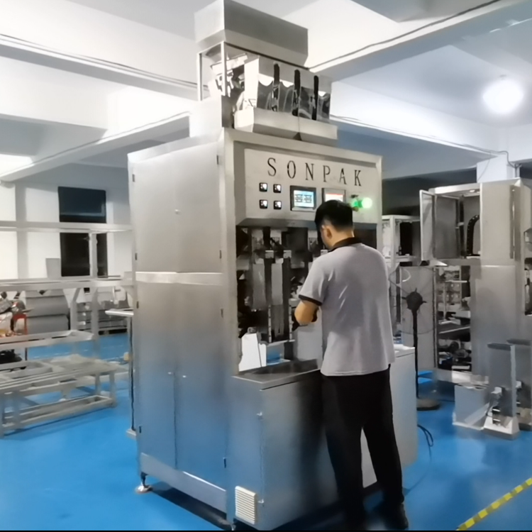 自動給袋式真空包裝機:常見問題及解決策略 自動給袋式真空包裝機:常見問題及解決策略